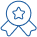icon medal star1